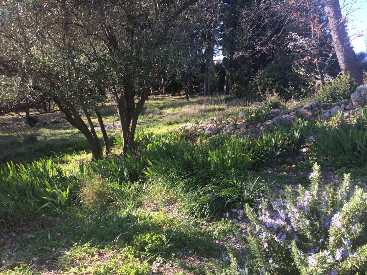 Domaine Fontaine Villa Visan ภายนอก รูปภาพ