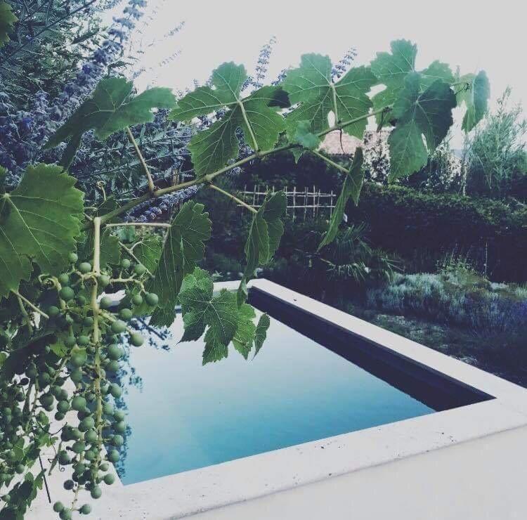 Domaine Fontaine Villa Visan ภายนอก รูปภาพ